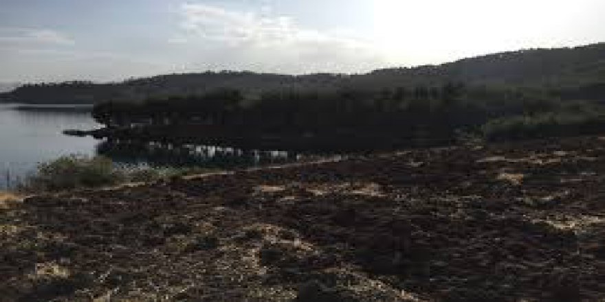 Onikişubat Bulutoğlu Köyü Resimleri