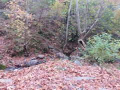 Onikişubat Büyüksır Köyü Resimleri 4