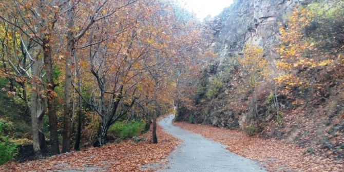 Onikişubat Büyüksır Köyü Resimleri 9