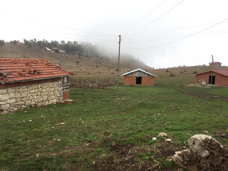 Niksar Arpaören Köyü Resimleri 10