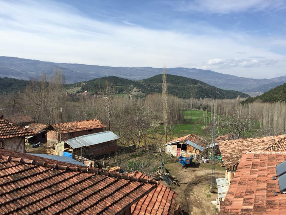 Niksar Arpaören Köyü Resimleri 12