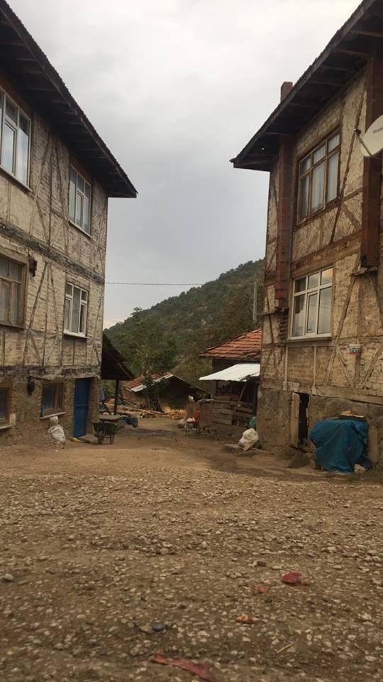 Niksar Arpaören Köyü Resimleri 3