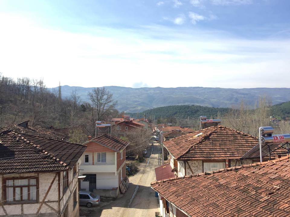 Niksar Arpaören Köyü Resimleri 5