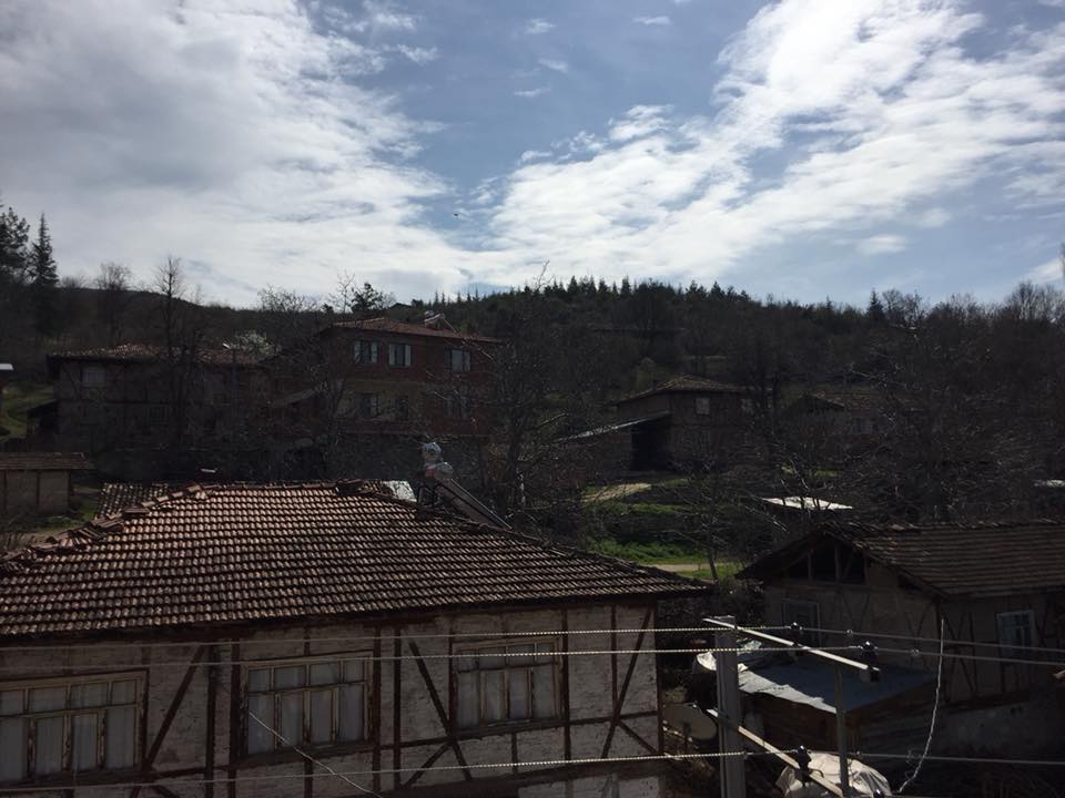 Niksar Arpaören Köyü Resimleri 6