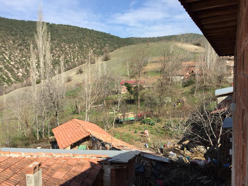 Niksar Arpaören Köyü Resimleri 8