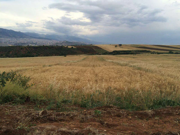 Onikişubat Cüceli Köyü Resimleri 2
