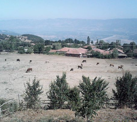 Niksar Ayvalı Köyü Resimleri 1