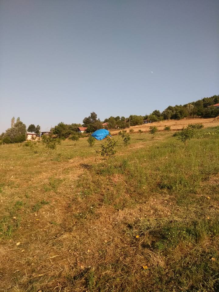 Niksar Ayvalı Köyü Resimleri 3