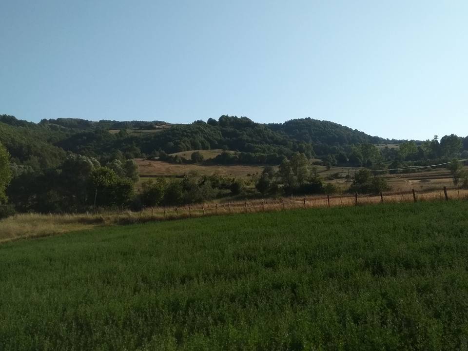 Niksar Ayvalı Köyü Resimleri 4