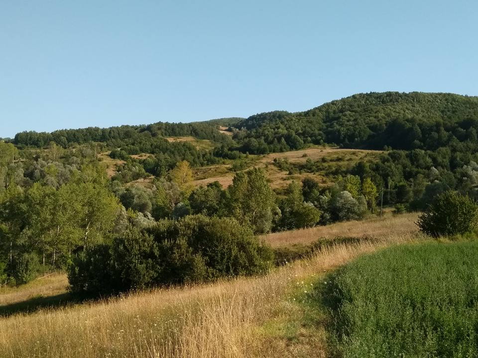 Niksar Ayvalı Köyü Resimleri 7