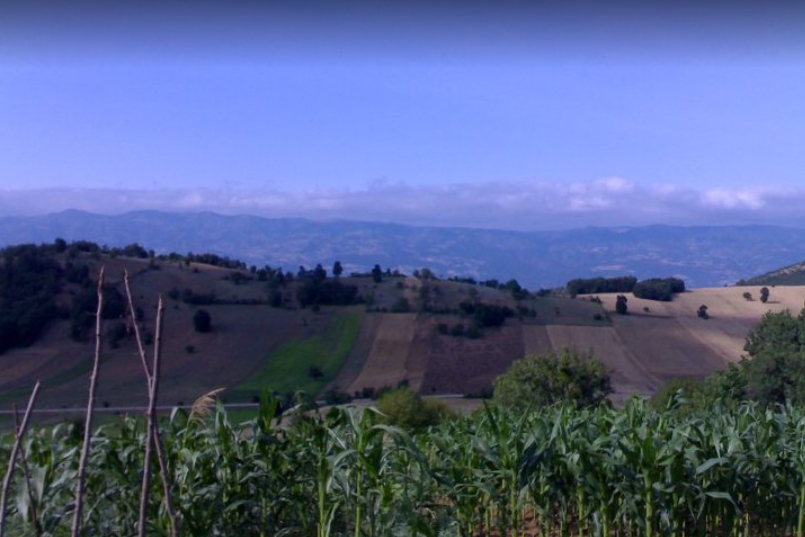 Niksar Bayraktepe Köyü Resimleri 2