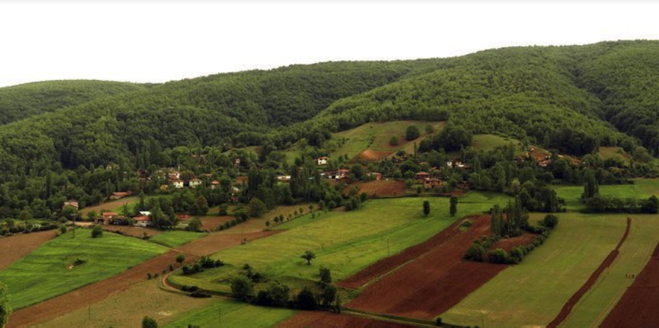 Niksar Bayraktepe Köyü Resimleri 3