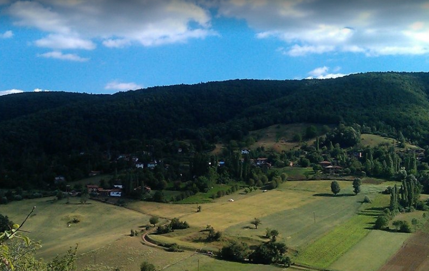 Niksar Bayraktepe Köyü Resimleri 5