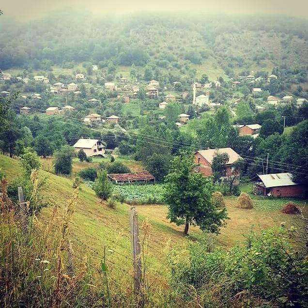 Niksar Bilgili Köyü Resimleri 1