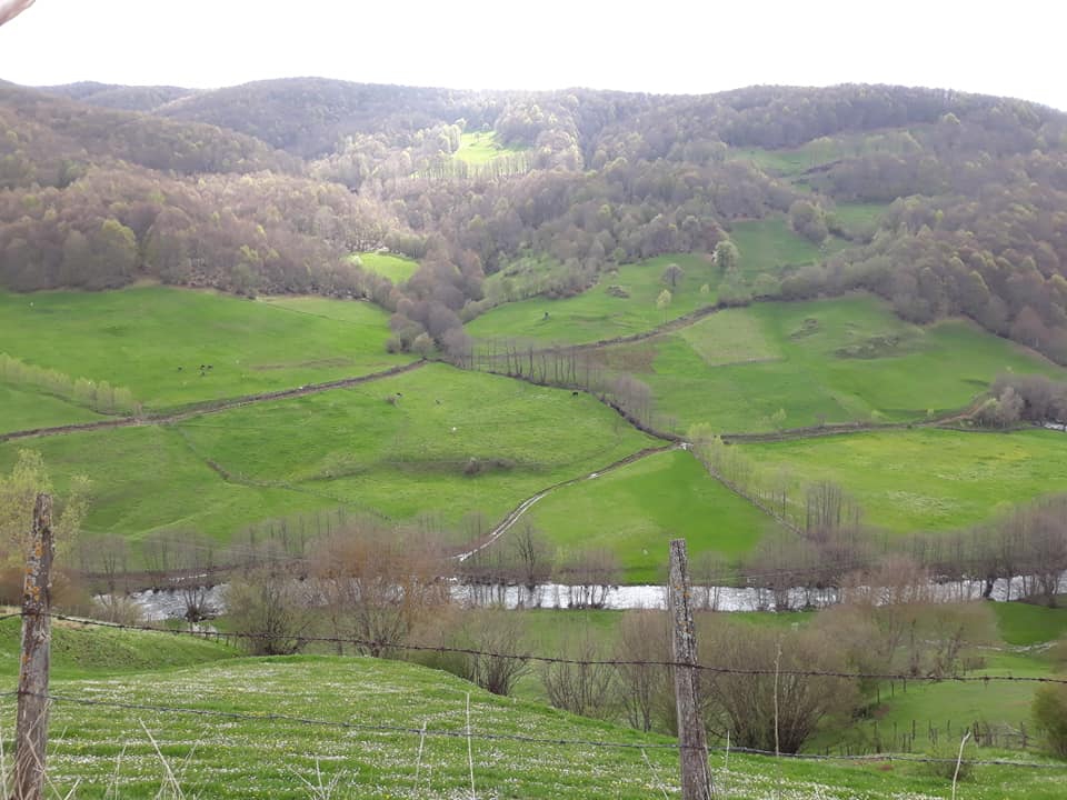 Niksar Bilgili Köyü Resimleri 11