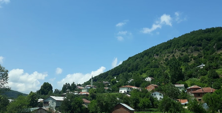 Niksar Bilgili Köyü Resimleri 12