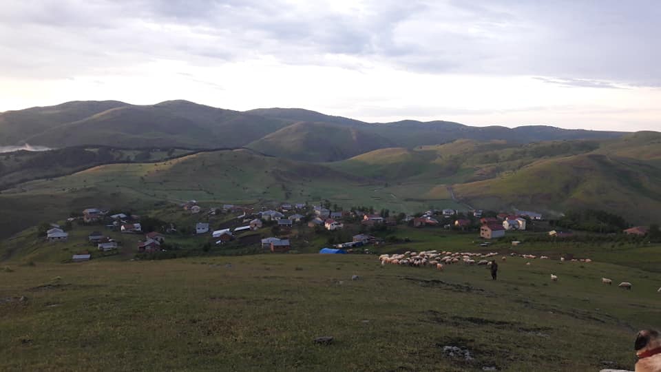 Niksar Bilgili Köyü Resimleri 3