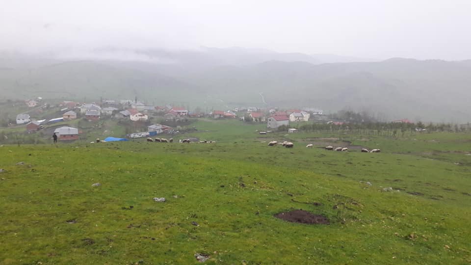 Niksar Bilgili Köyü Resimleri 7