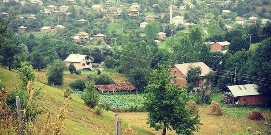 Niksar Bilgili Köyü Resimleri