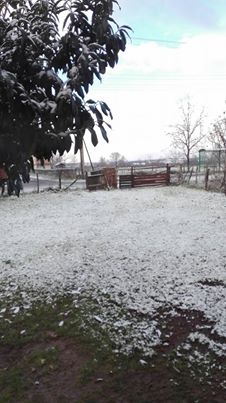 Hendek Sivritepe Köyü Resimleri 2