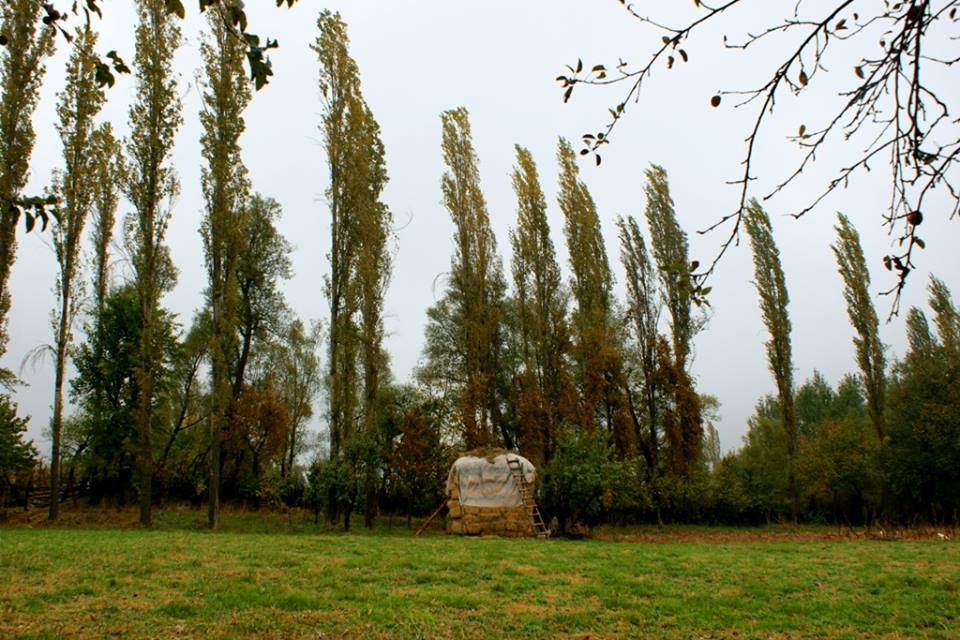 Adana Feke Mansurlu Köyü Resimleri 25