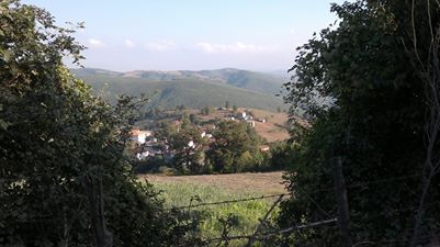 Kavak Talışman Köyü Resimleri 5