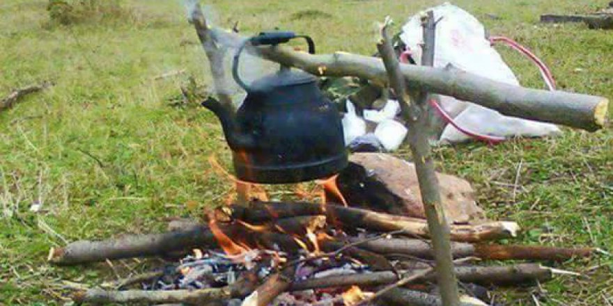 Ladik Ağcakaya Köyü Resimleri