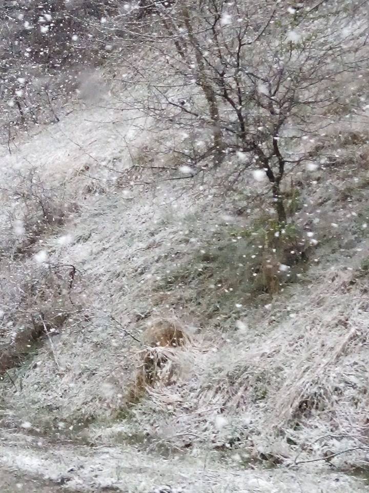 Ladik Ahmetsaray Köyü Resimleri 11