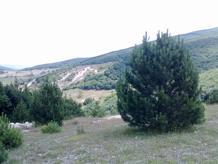 Ladik Akyar Köyü Resimleri 1