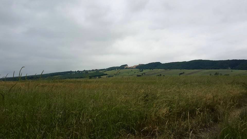 Ladik Alayurt Köyü Resimleri 3