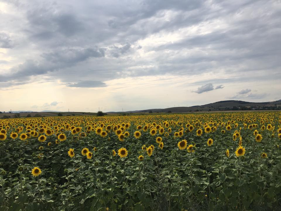 Ladik Alayurt Köyü Resimleri 8