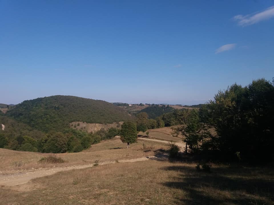 Ladik Alıçlı Köyü Resimleri 1