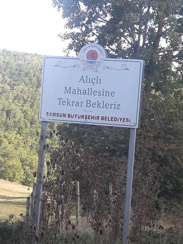 Ladik Alıçlı Köyü Resimleri 11