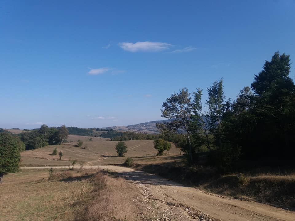 Ladik Alıçlı Köyü Resimleri 3