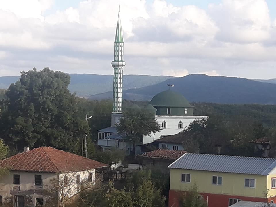 Ladik Alıçlı Köyü Resimleri 4