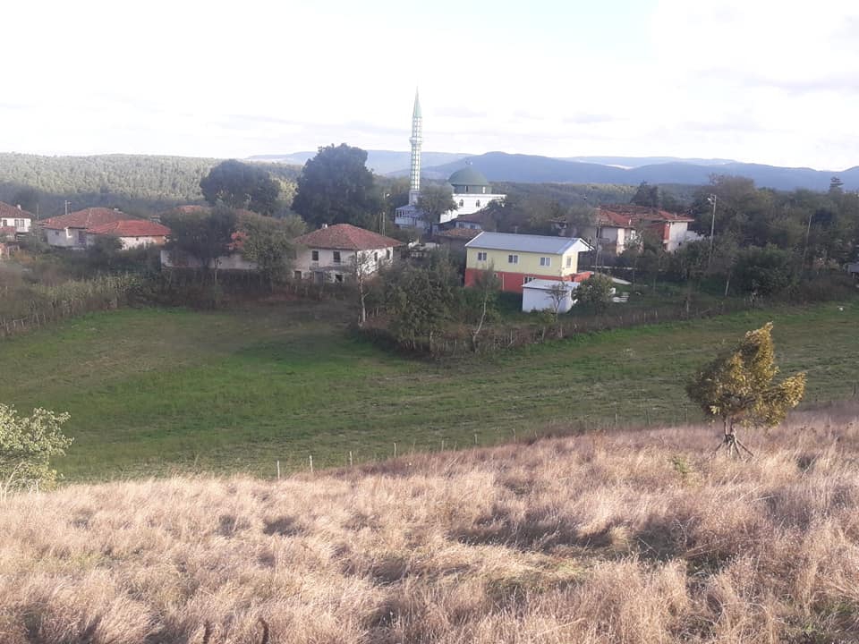 Ladik Alıçlı Köyü Resimleri 5