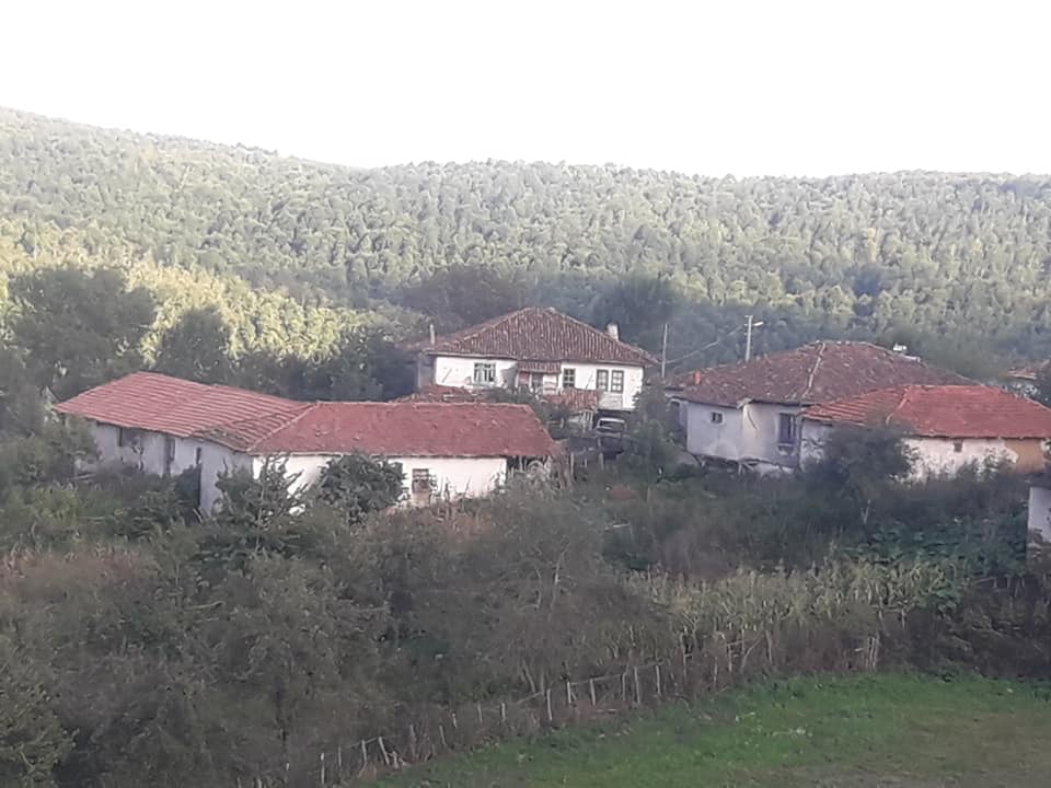 Ladik Alıçlı Köyü Resimleri 7