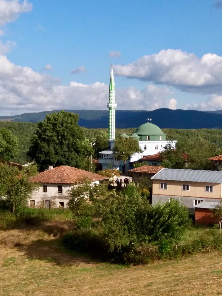 Ladik Alıçlı Köyü Resimleri 8