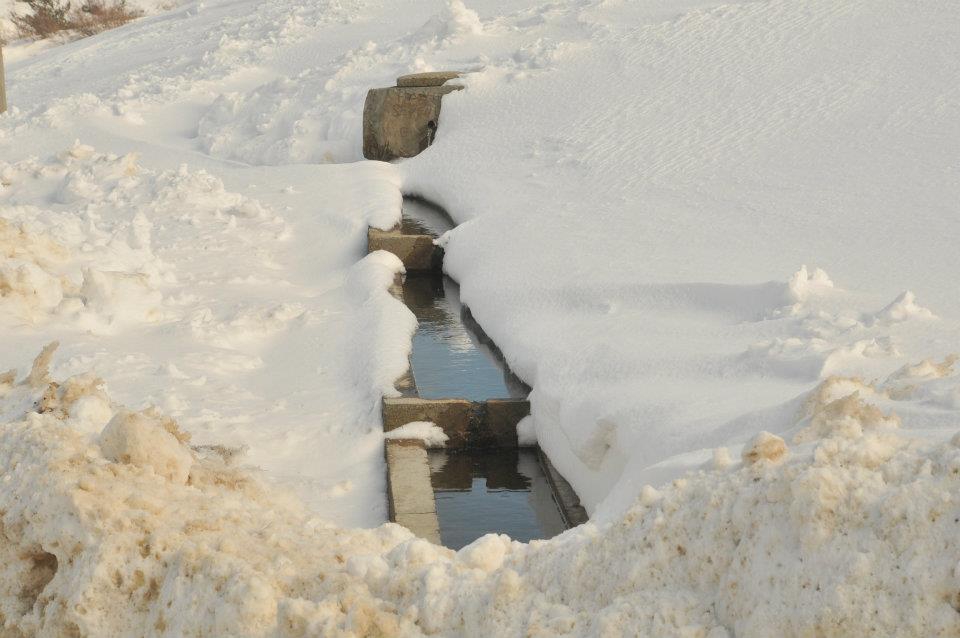 Ladik Ayvalı Köyü Resimleri 11