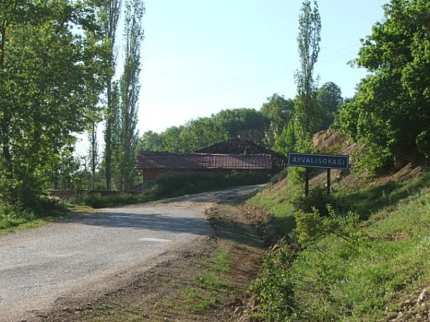 Ladik Ayvalısokağı Köyü Resimleri 5