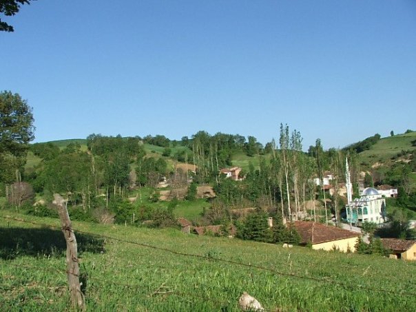 Ladik Ayvalısokağı Köyü Resimleri 6