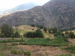 Onikişubat Çağlayan Köyü Resimleri 3