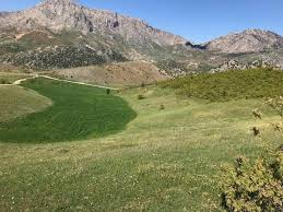 Onikişubat Çağlayan Köyü Resimleri 4