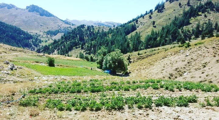 Onikişubat Çakırdere Köyü Resimleri 1