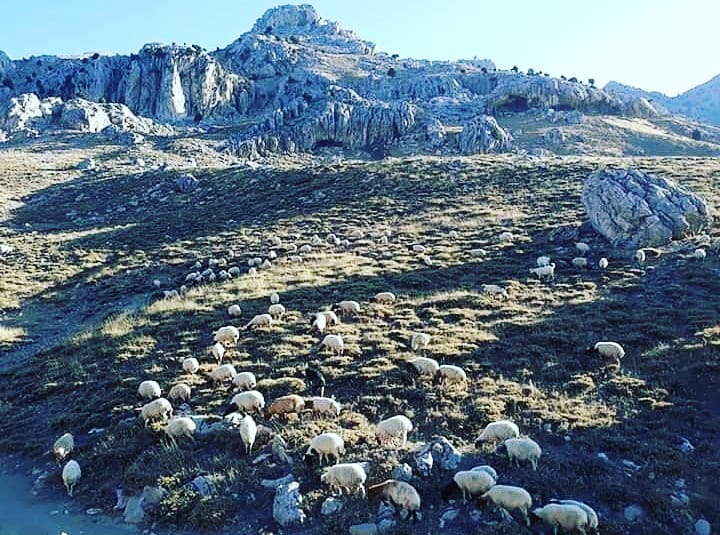 Onikişubat Çakırdere Köyü Resimleri 9