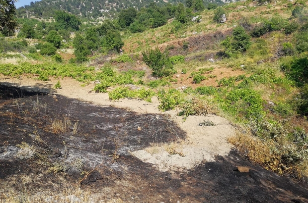 Onikişubat Çamlık Köyü Resimleri 2