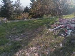 Onikişubat Çamlık Köyü Resimleri 4