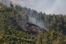 Onikişubat Çınarpınar Köyü Resimleri 1