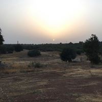 Pazarcık Bölükçam Köyü Resimleri 6