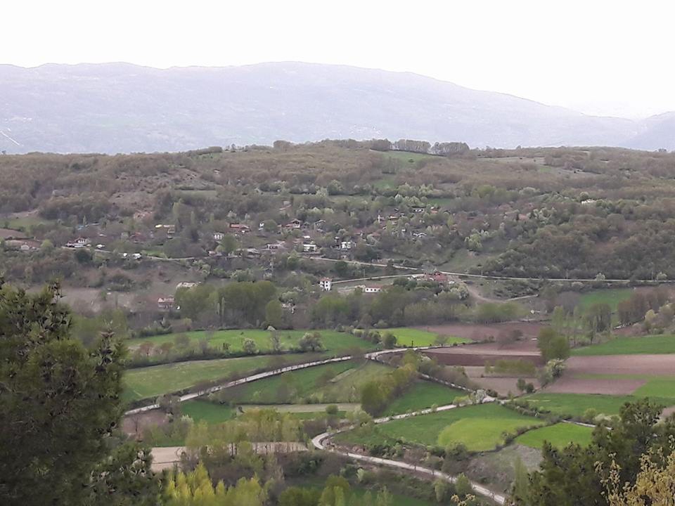 Niksar Boyluca Köyü Resimleri 1